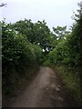 Looking eastwards in Mill Lane