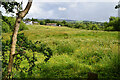 Ballynamullan Townland