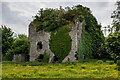N0069 : Castles of Connacht: Ballyleague, Roscommon (2) by Mike Searle