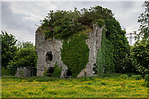 N0069 : Castles of Connacht: Ballyleague, Roscommon (2) by Mike Searle