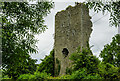 N0259 : Castles of Leinster: Elfeet, Longford by Mike Searle