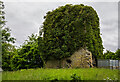 N2740 : Castles of Leinster: Syonan, Westmeath (2) by Mike Searle