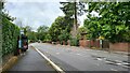 Bus stops on Epsom Road