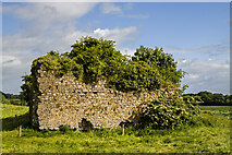 N4541 : Castles of Leinster: Castlelost, Westmeath (3) by Mike Searle