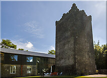 N4683 : Castles of Leinster: Ross, Meath (1) by Mike Searle