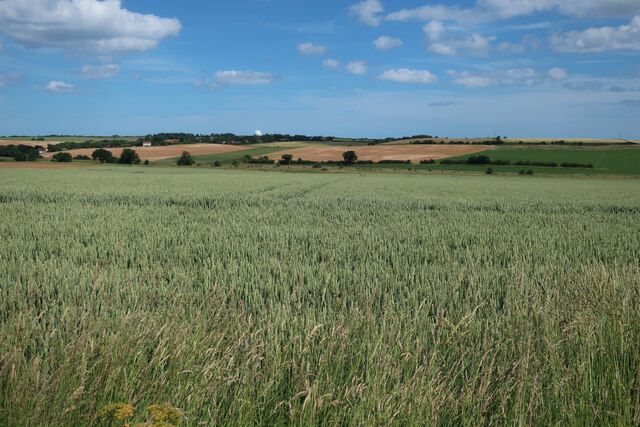Fields north of Mundesley Road
