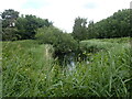 Lake near Broom Street