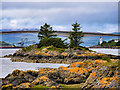 View of the Skye Bridge from Plock of Kyle