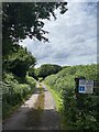 ST2083 : Track to Llan Farm by Alan Hughes