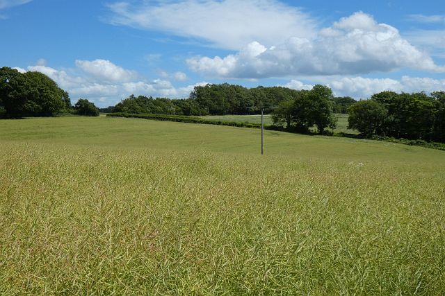 Farmland, Farleigh Wallop