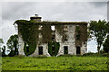 N6154 : Ireland in Ruins: Grangemore House, Co. Westmeath (2) by Mike Searle