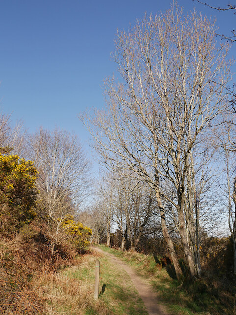 Forest path, Torrieston