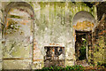 N6154 : Ireland in Ruins: Grangemore House, Co. Westmeath (7) by Mike Searle