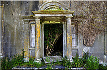 N5379 : Ireland in Ruins: Crossdrum House, Co. Meath (3) by Mike Searle