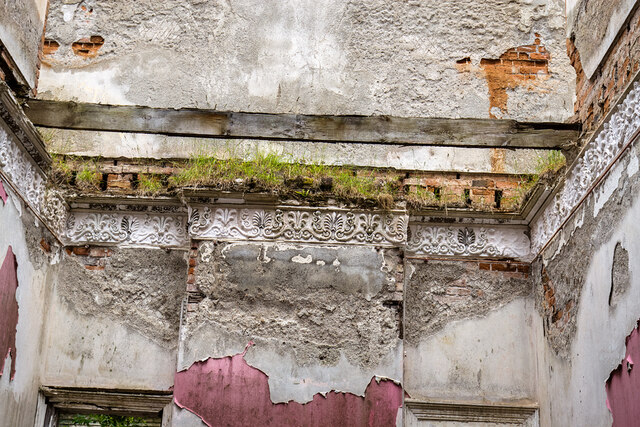 Ireland in Ruins: Pilltown House, Co. Meath (8)