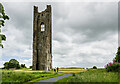 N8056 : Yellow Steeple, Trim, Co. Meath by Mike Searle