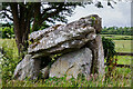 N1492 : Annaghmore, Co. Leitrim - Megalithic portal tomb by Mike Searle