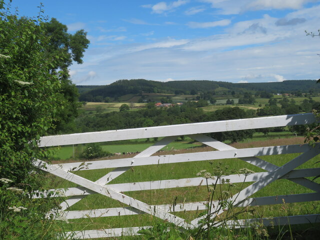 Through a field gate