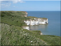 TA2570 : Chalk cliffs to the north of Flamborough Head by Oliver Dixon