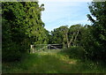 Field entrance off New Barn Road