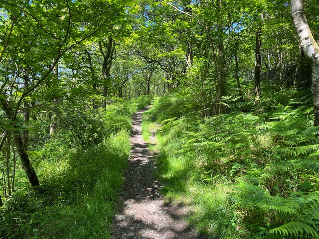 Path in High Stribers Wood