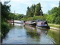 Narrowboats moored on the Kennet & Avon canal near Holcombe Farm