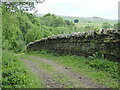 NY6752 : The Pennine Way near Simsholm Well by Dave Kelly