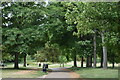 Path through avenue of trees, Cassiobury Park