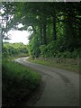 Twisting section of lane at The Collwyn, Pyle