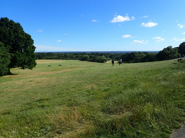 Oxleas Meadow © Marathon cc-by-sa/2.0 :: Geograph Britain and Ireland