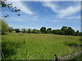 TQ6364 : Grassland near Bocoda Hill Farm by JThomas