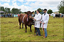 H4374 : 180th Omagh Annual Agricultural Show (15) by Kenneth  Allen