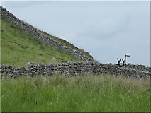 NY7868 : Hadrian's Wall Path near Turret 37A by Dave Kelly