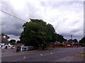 Farnborough Railway Station to Samuel Cody School (45)