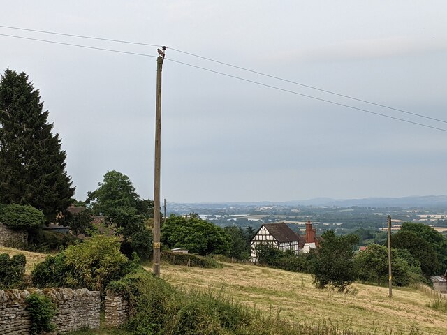 Telegraph pole at St. Bartholomew's church (Richard's Castle)