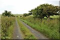 ND1263 : Track leading to River Thurso by Alan Reid