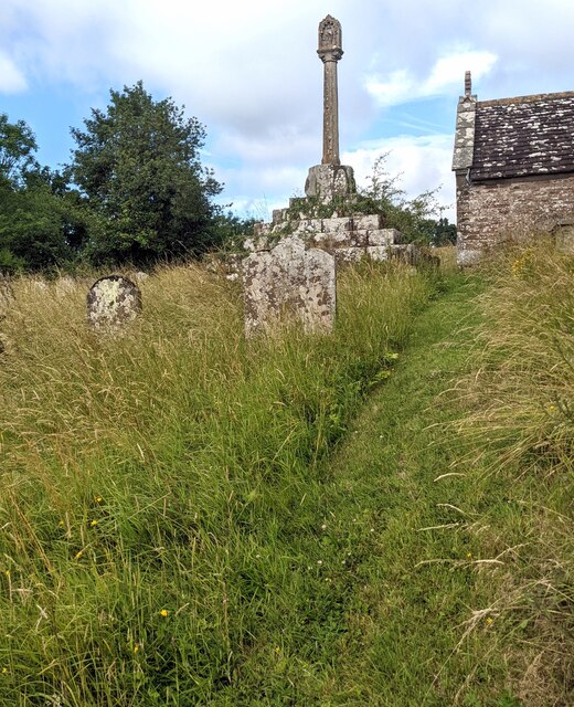 Track through unmown grass, Llangovan, Monmouthshire