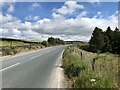 Scarth Nick, Leyburn Moor