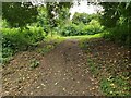 Footpath approaching a Main Road