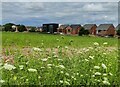 Houses on the edge of Kidderminster