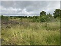 Rough ground, Ballynamullan