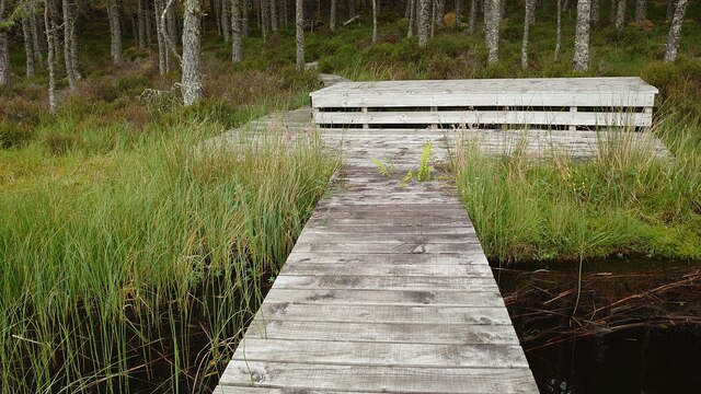 The Decking and Jetty at Loch Saine