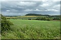 Field north of Chatton