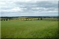 Fields near Whinny Hill