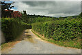 Track towards the Usk