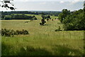 Rolling Greensand pasture and meadow