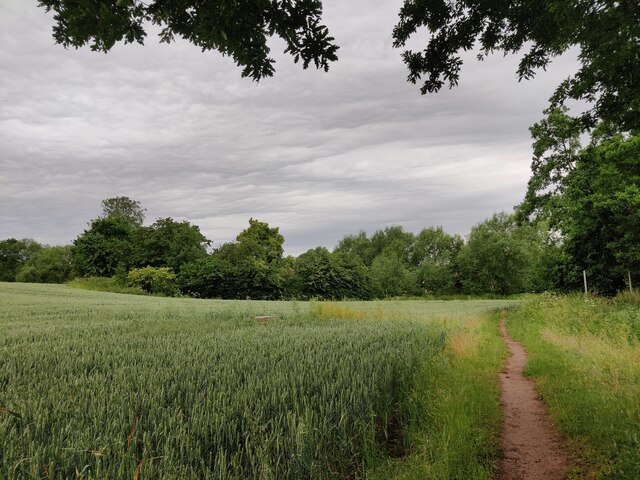 Three Cornered Wood, Wyre Forest - area information, map, walks and more