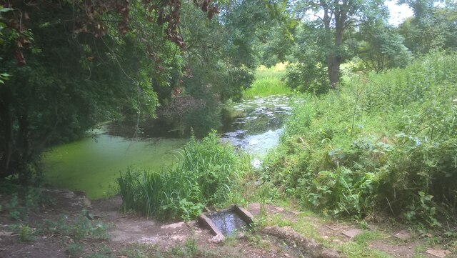 Holywell Ponds, Longthorpe