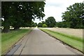 TL8261 : Drive in Ickworth Park by Philip Halling