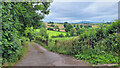 Track to Pentre Gwyddel